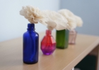sola-image03.JPG