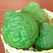 kaffirlime-s.png