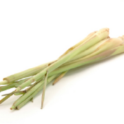 lemongrass-s.png