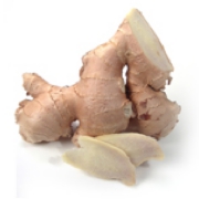 Ginger (1).jpg