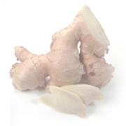 Ginger (1).jpg