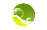 003-2.gif
